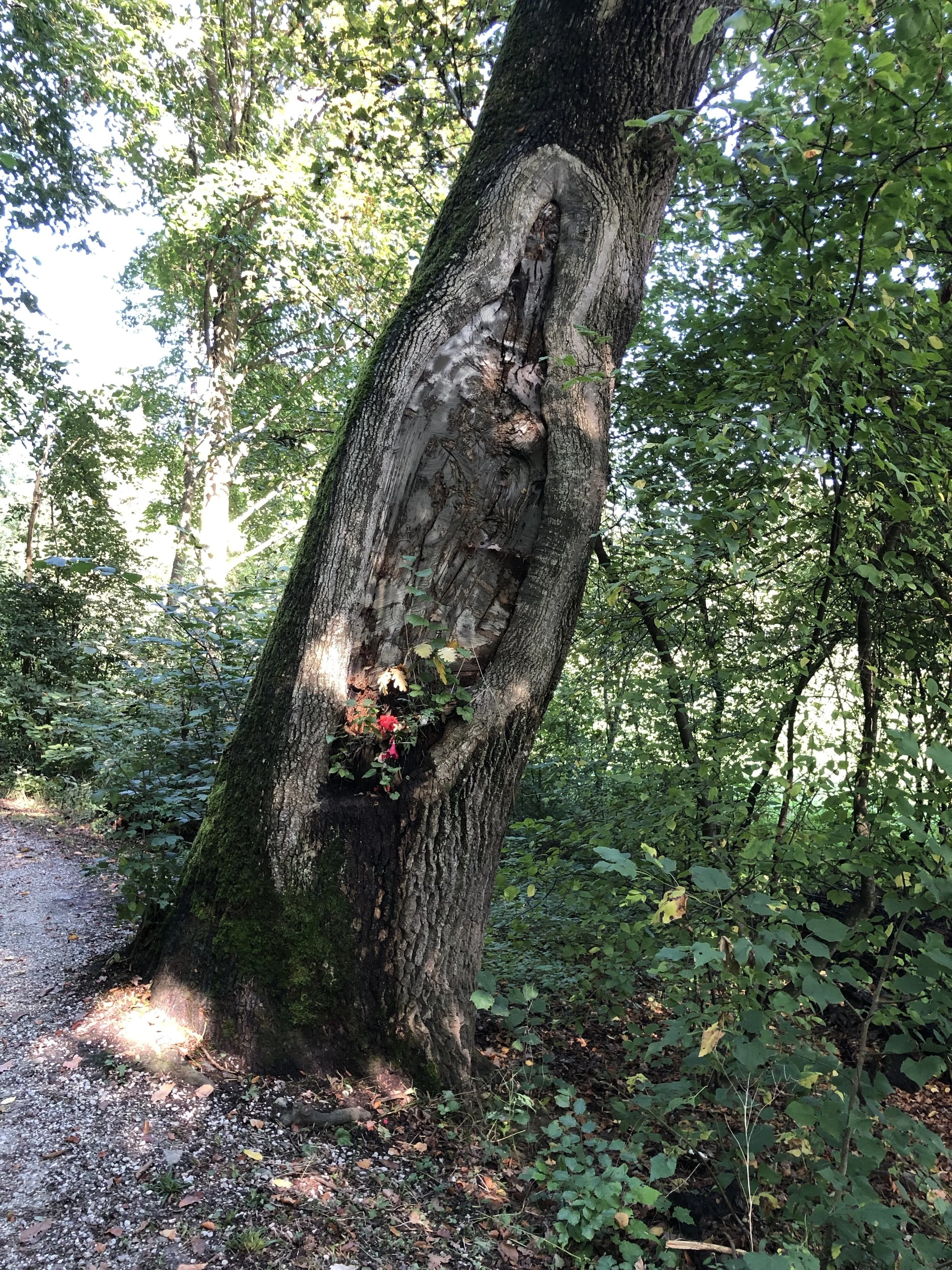 Finissage und «Día de los Muertos» 