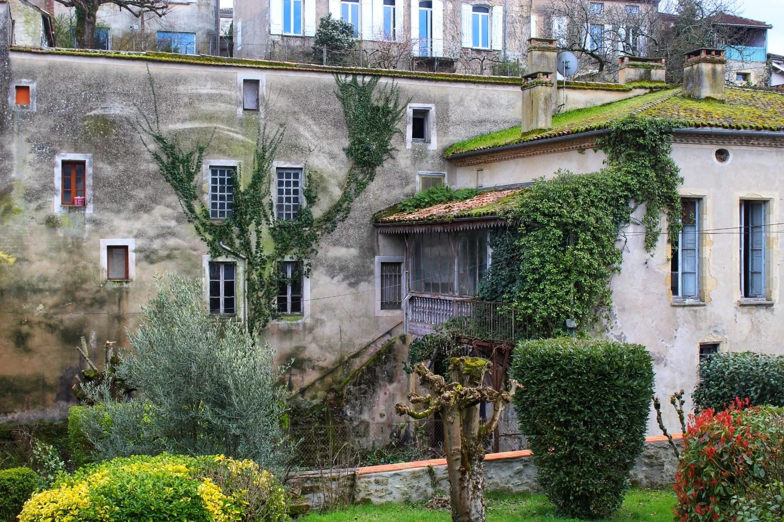 WhatsApp Image 2019-04-19 at 14.35.56.jpeg