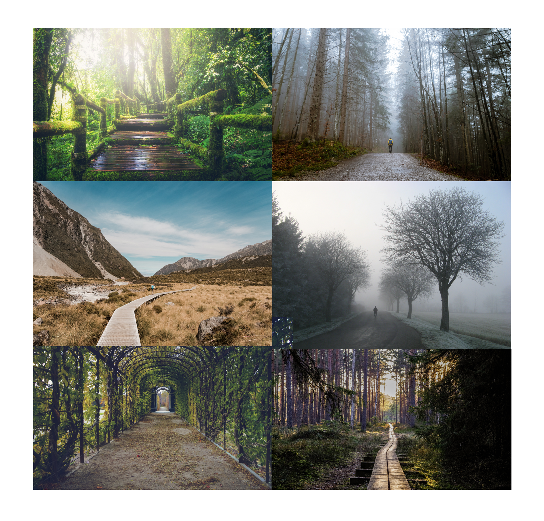 Moodboard.png