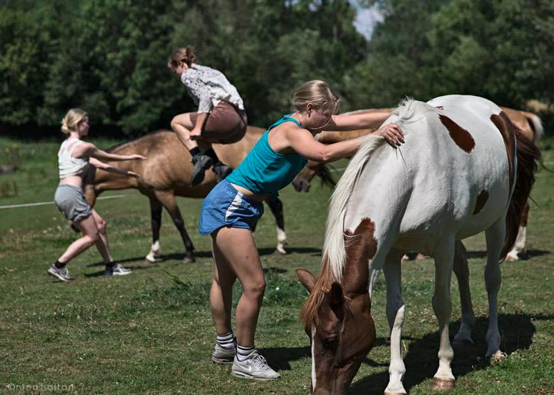  Hesteworkshop, Danmark   foto: Nina Holtan 