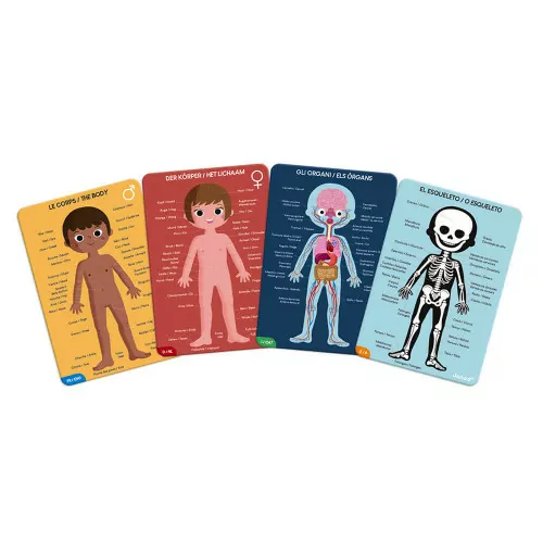 puzle-educativo-cuerpo-humano (11).png