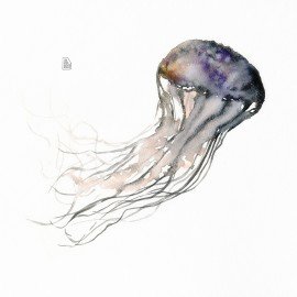medussa-nova.jpg
