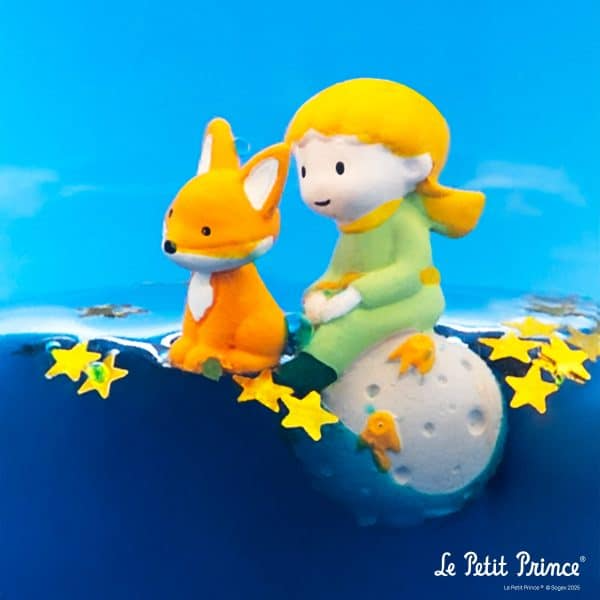 PetitBoum-Le-Petit-Prince_C2_AE-9-600x600.png