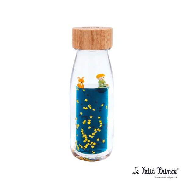 PetitBoum-Le-Petit-Prince_C2_AE-1.png