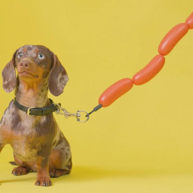 20020651_28202B8_Hot_Dog_Leash_Orange.png