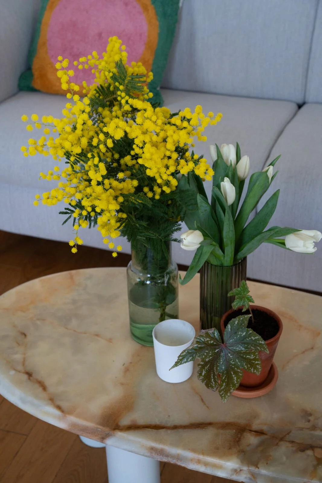 Table au bord de la fenêtre, bouquet de mimosa
