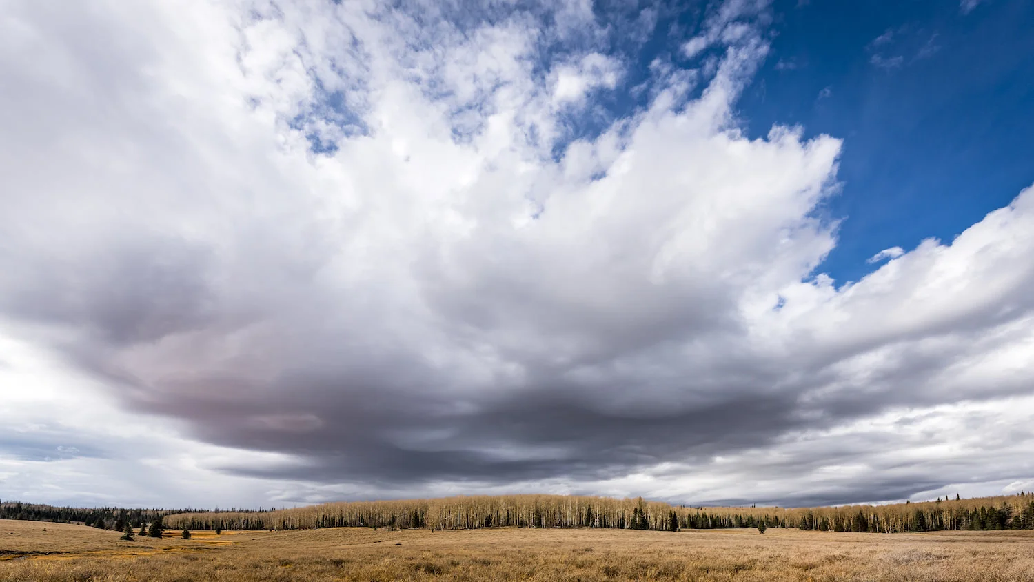 Utah Landscape Photograph