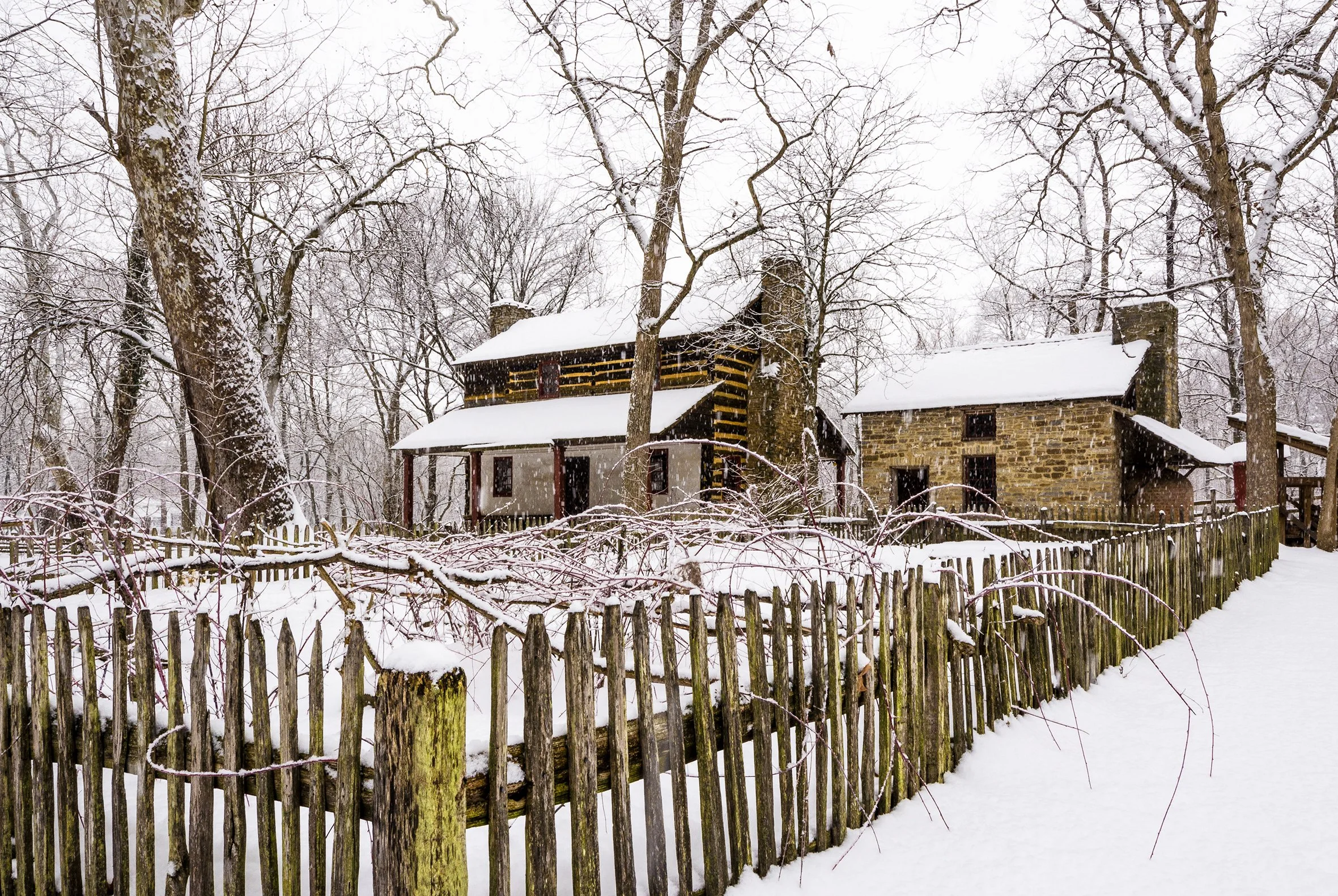 SG Website-20-Edit.jpg