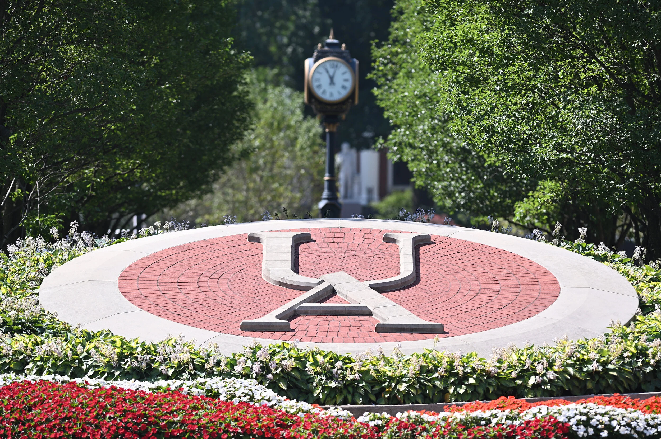 Re-imagining University Arts Programs for Community Revitalization