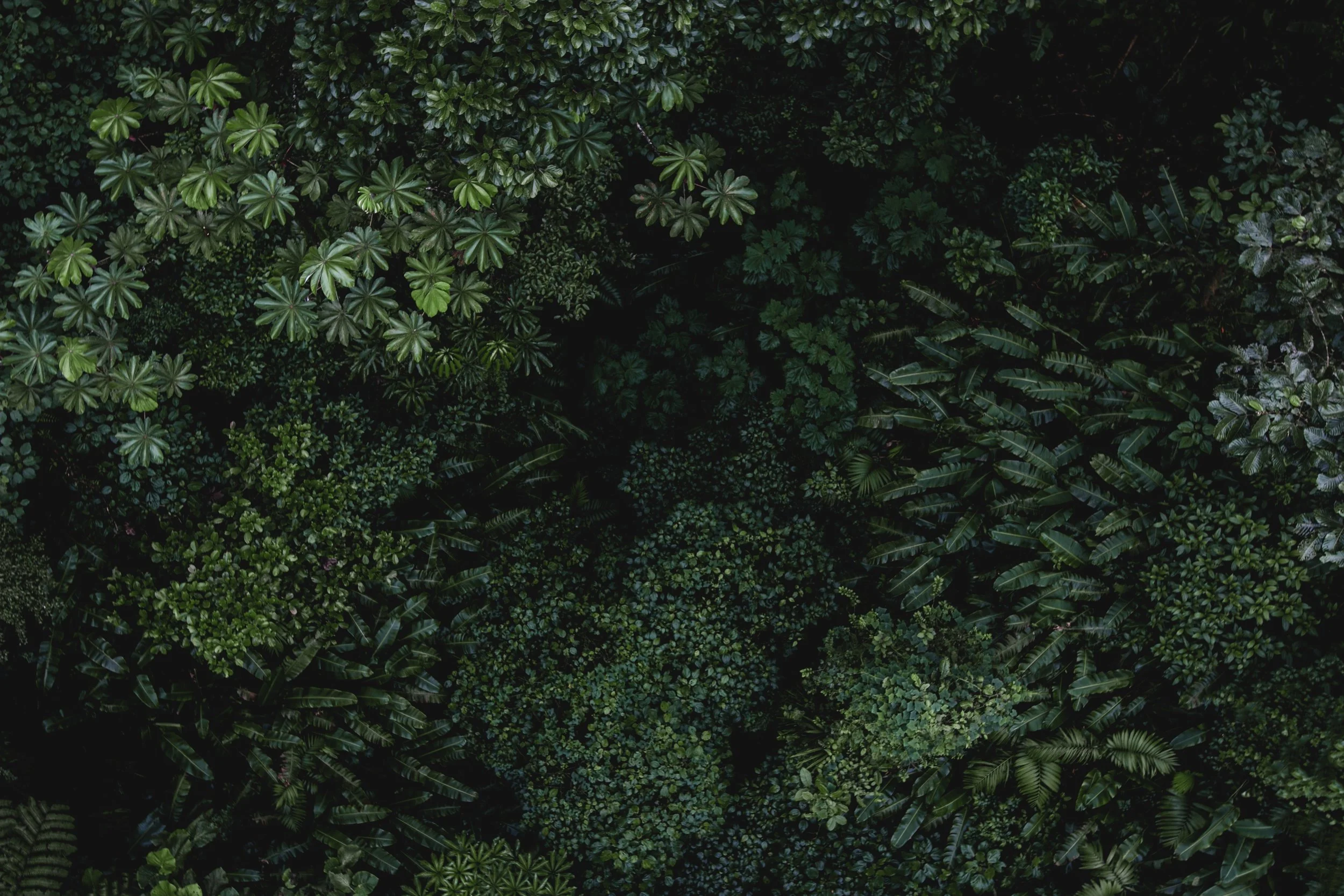 isabella-juskova-258910-unsplash.jpg