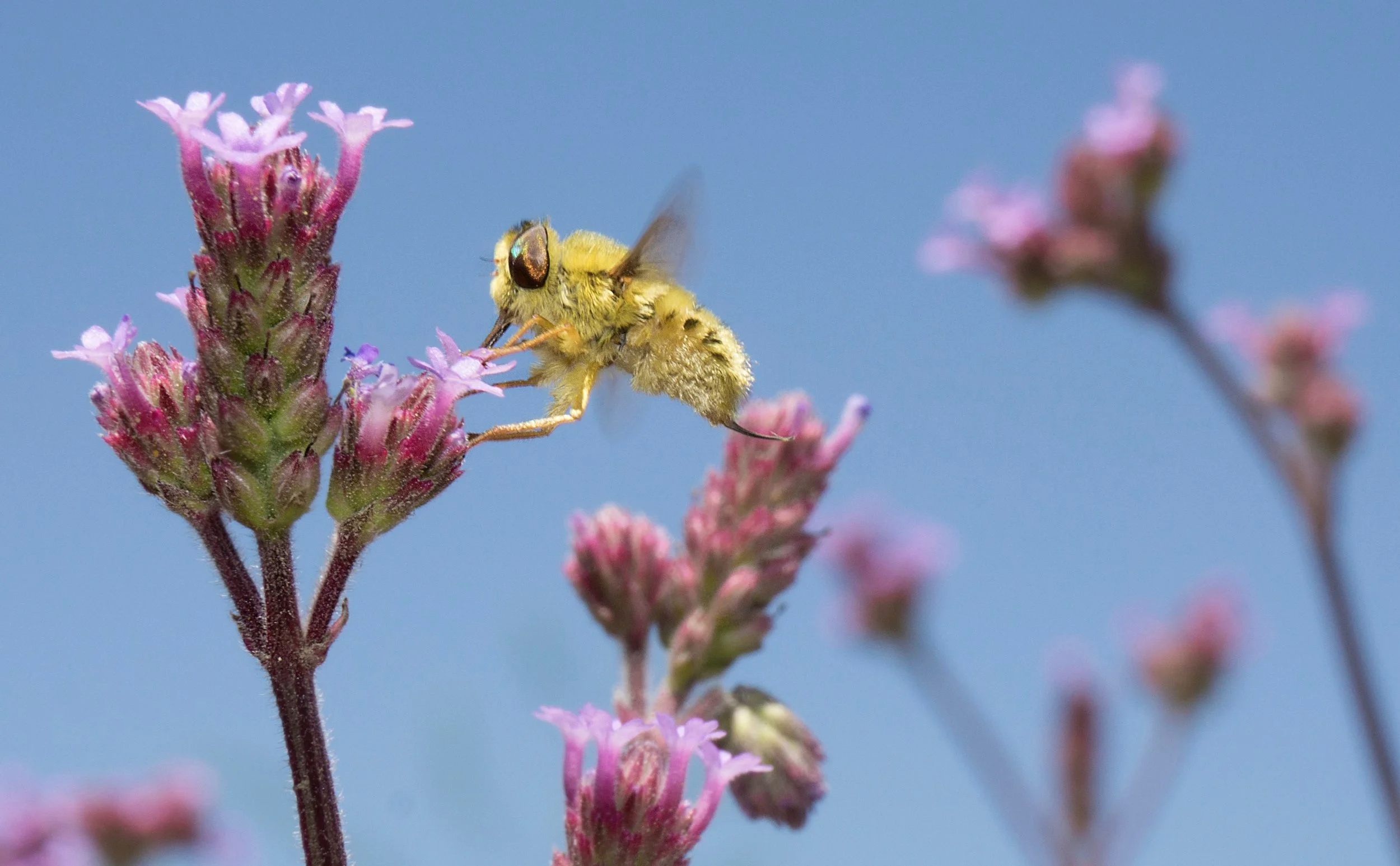 Climate Change &amp; Biodiversity 