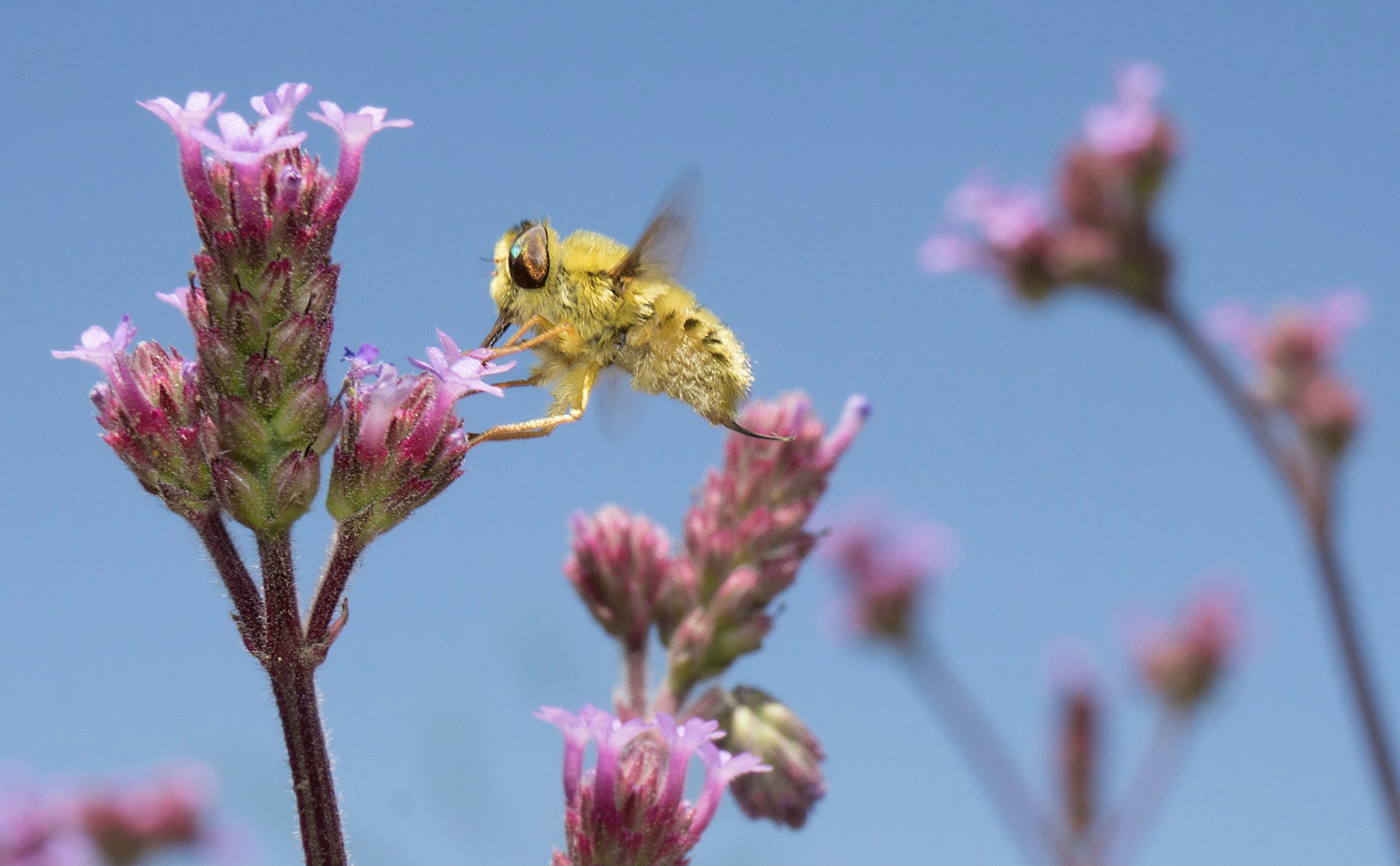 Climate Change &amp; Biodiversity 