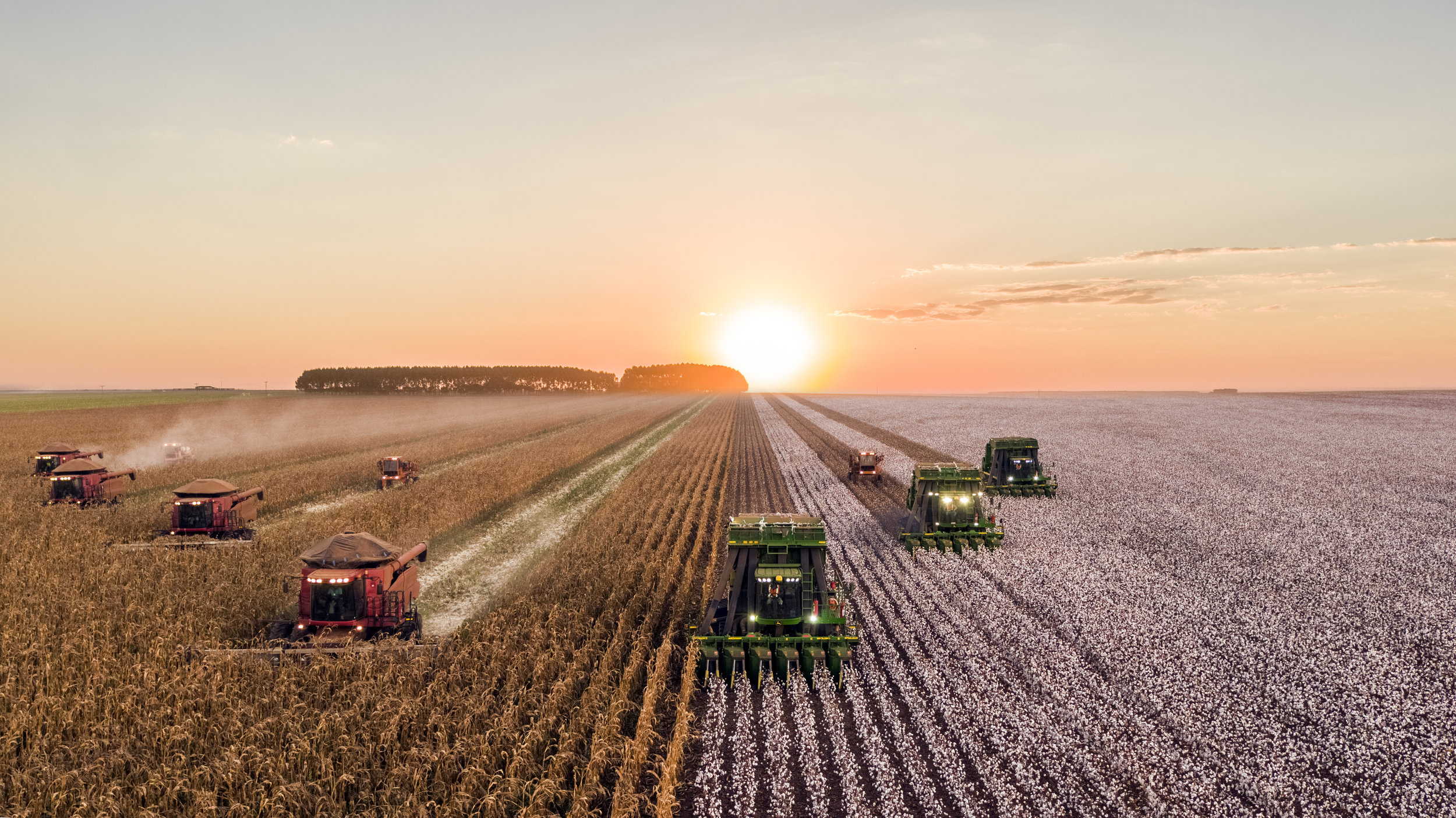 Agriculture &amp; Global Overview 