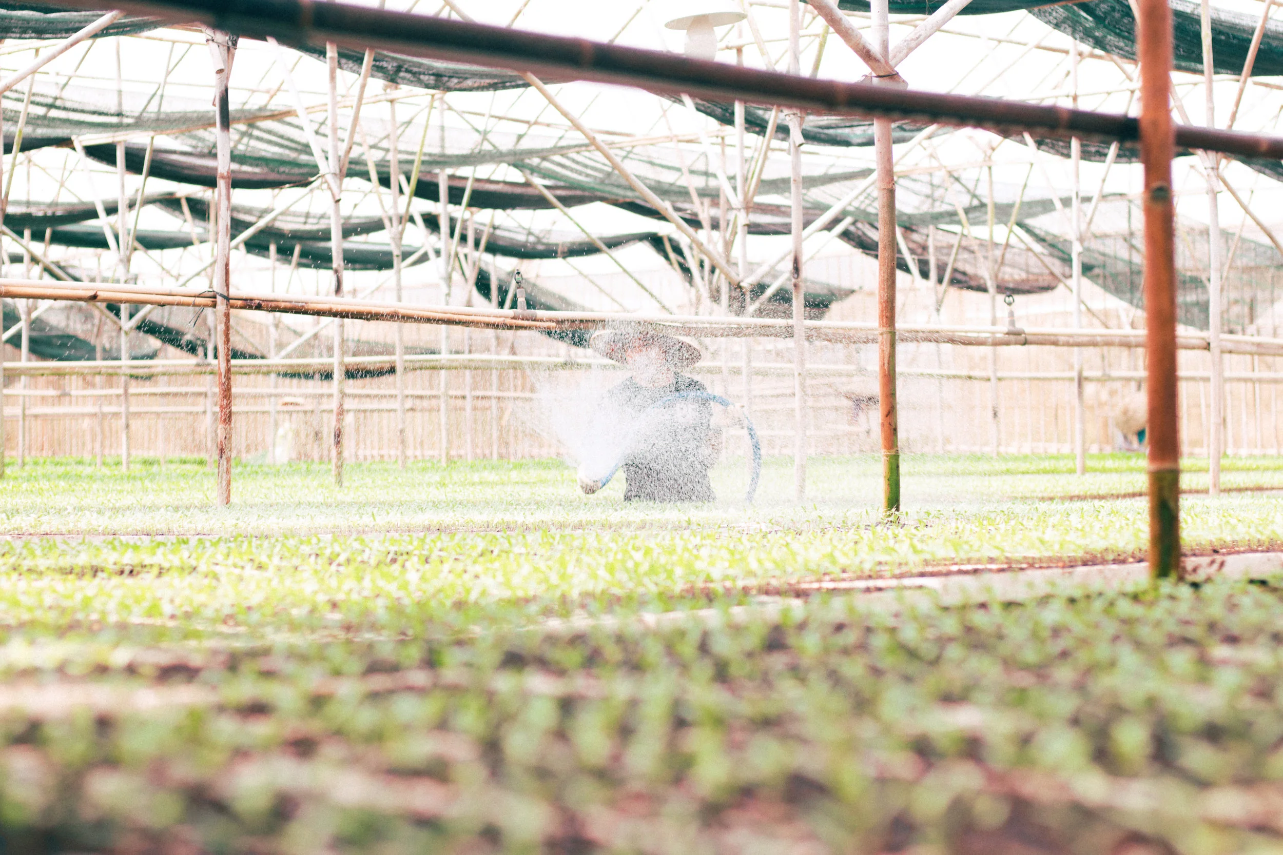 Agriculture &amp; Pollution