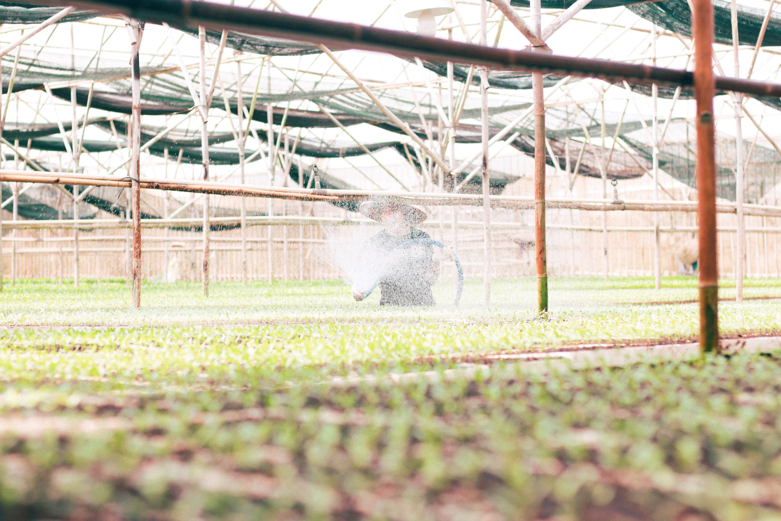 Agriculture &amp; Pollution