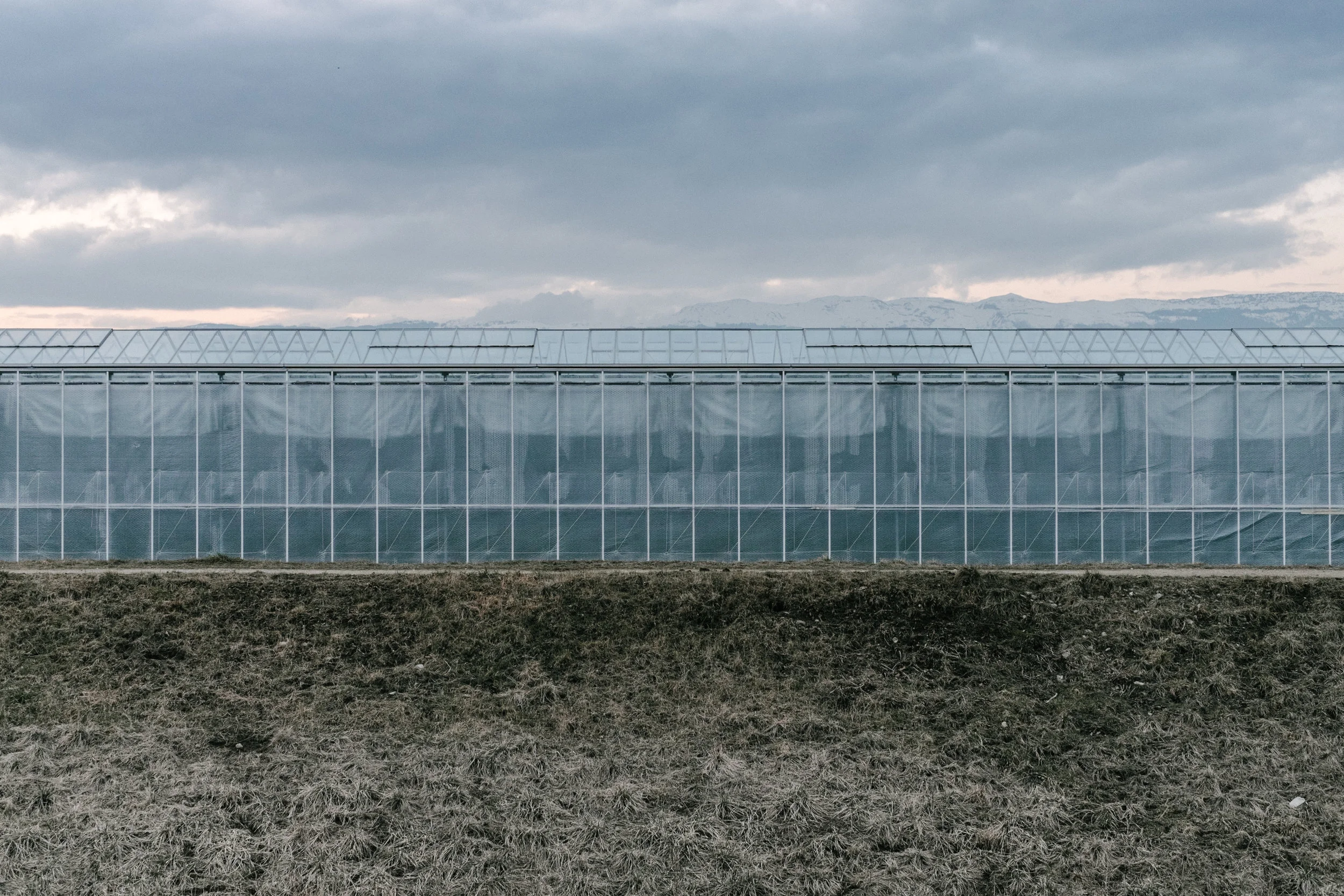 Agriculture &amp; Energy Resources 