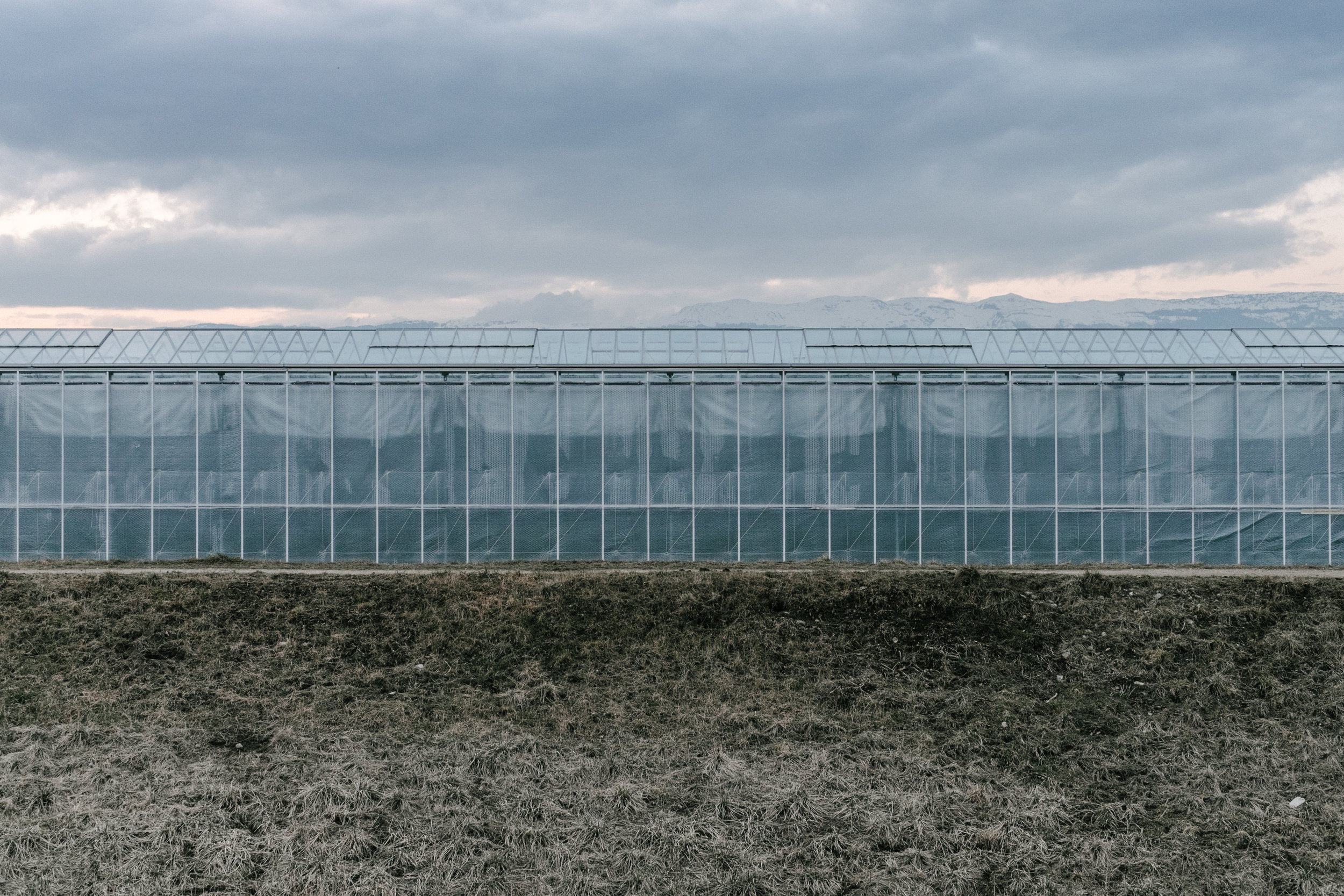 Agriculture &amp; Energy Resources 