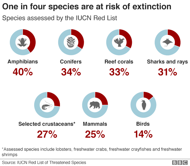 major causes of species extinction
