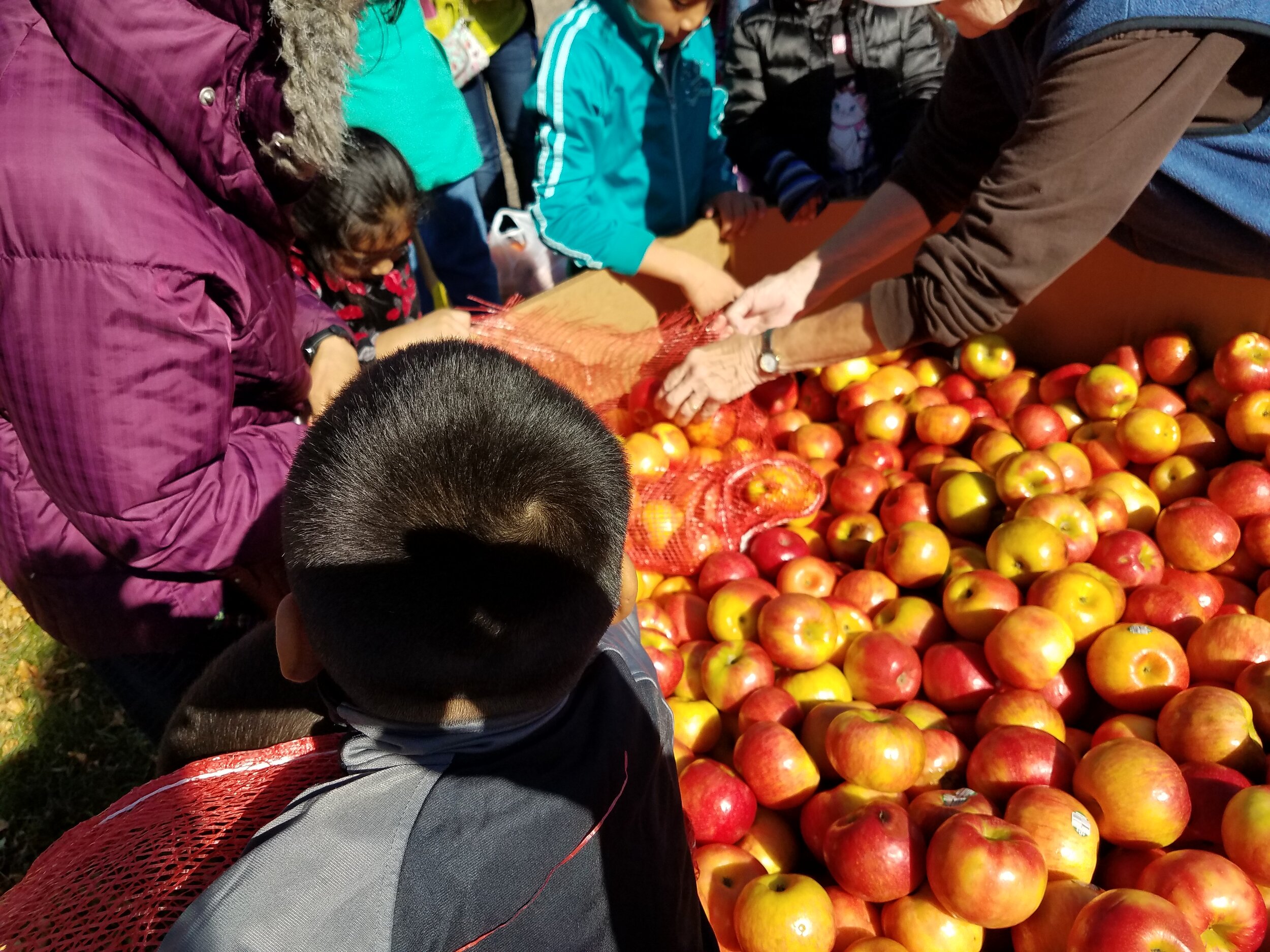 People & Apple tote.jpg