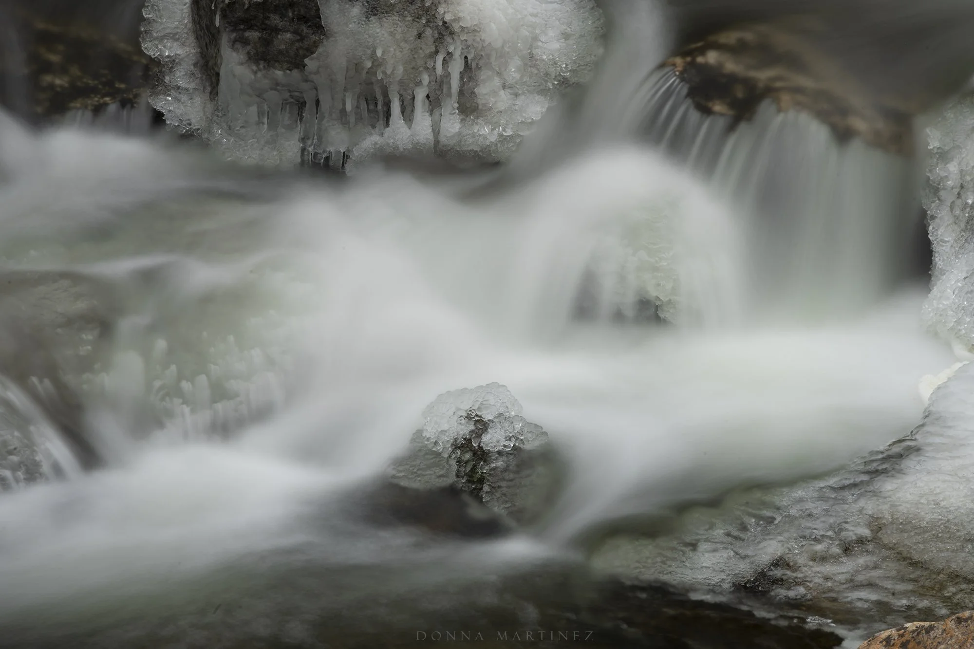 DSC_5076.jpg