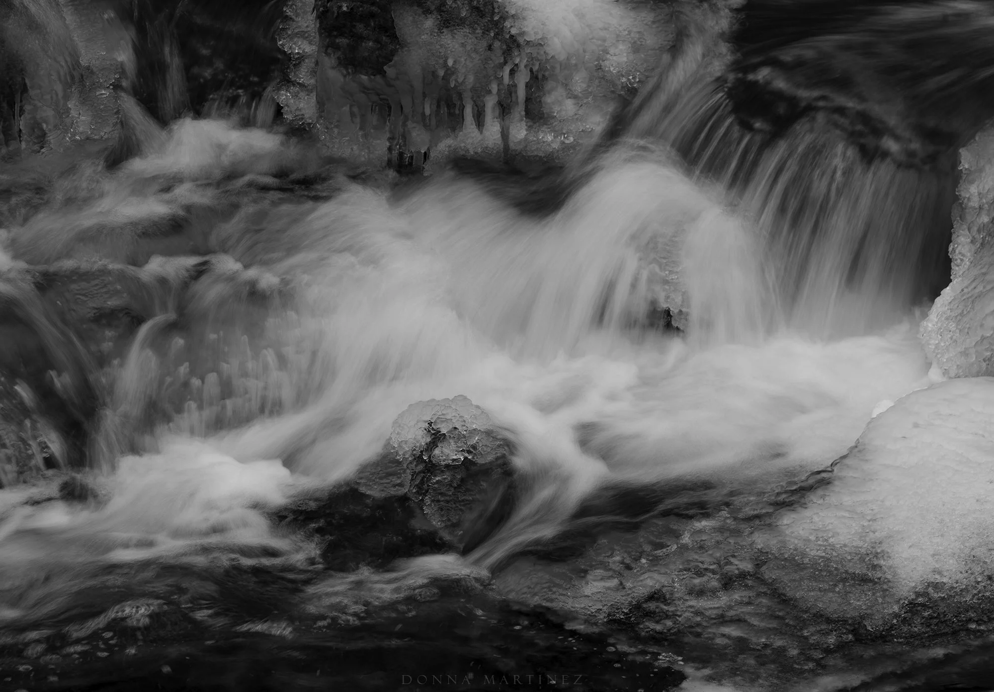 DSC_5096.jpg