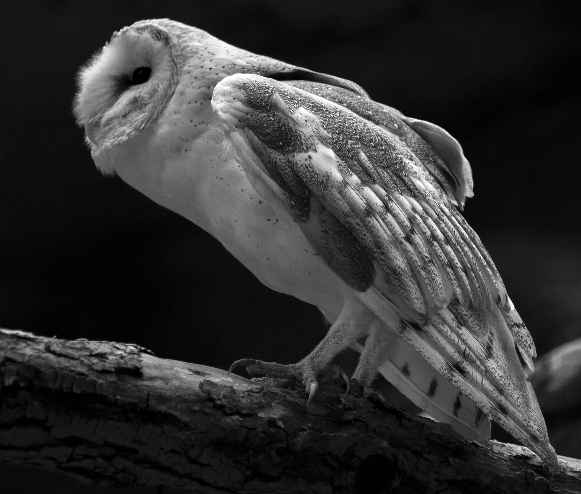 DSC_2565.jpg