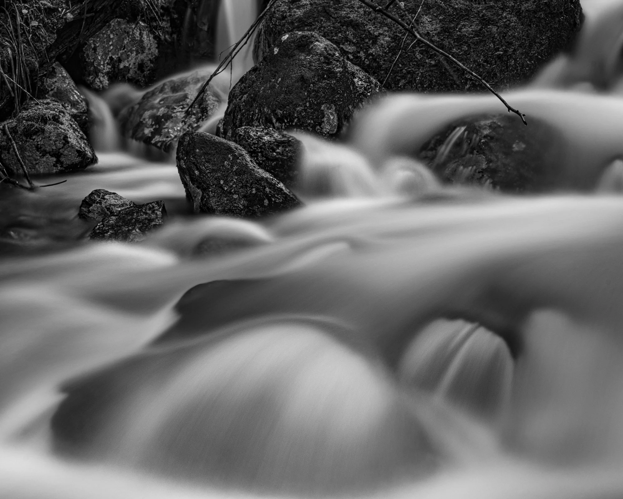 DSC_0471.jpg