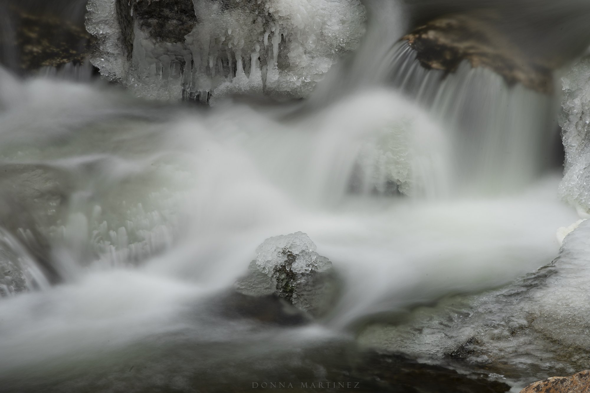DSC_5076.jpg
