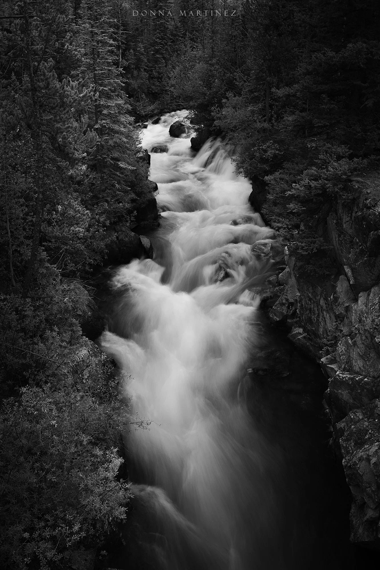 DSC_2768 copy.jpg