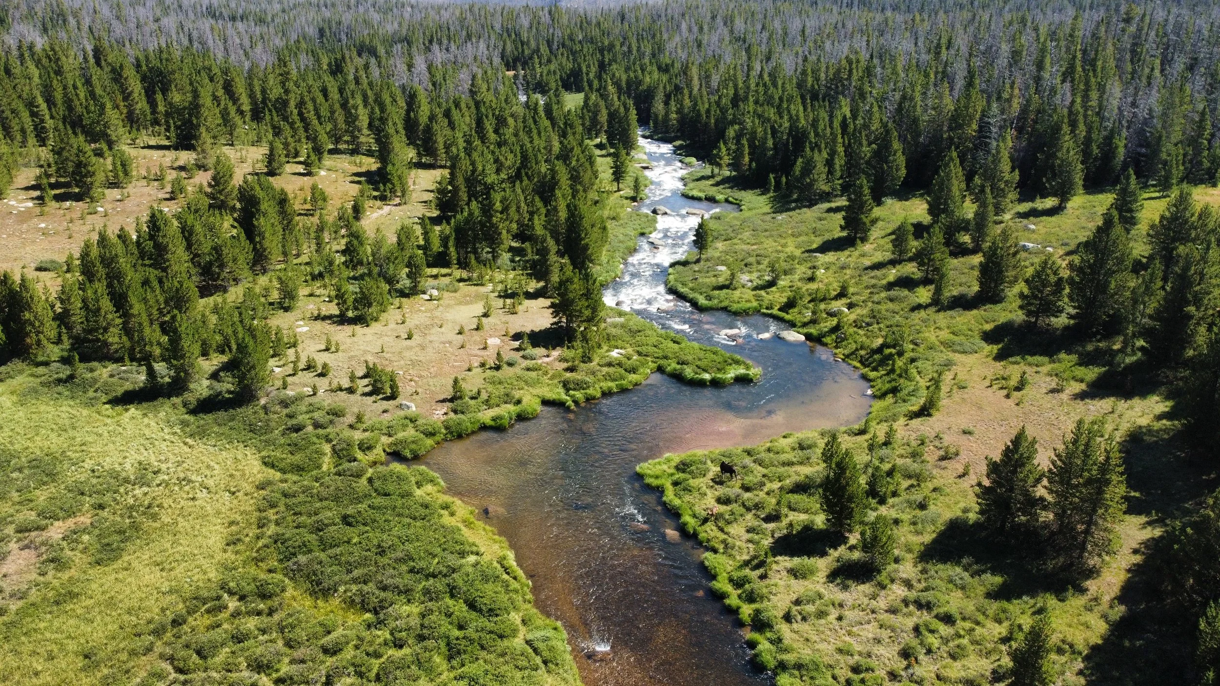 Cache La Poudre pass creek long draw reservoir Larimer County Colorado