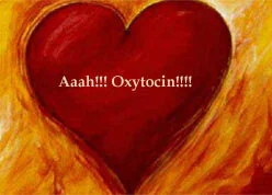 The Love Hormone Oxytocin – The Hormone of Connection