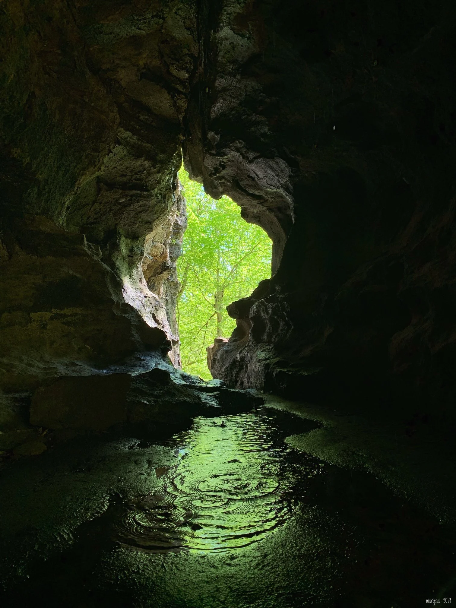 buffalo river work on Buffalo National River Partners