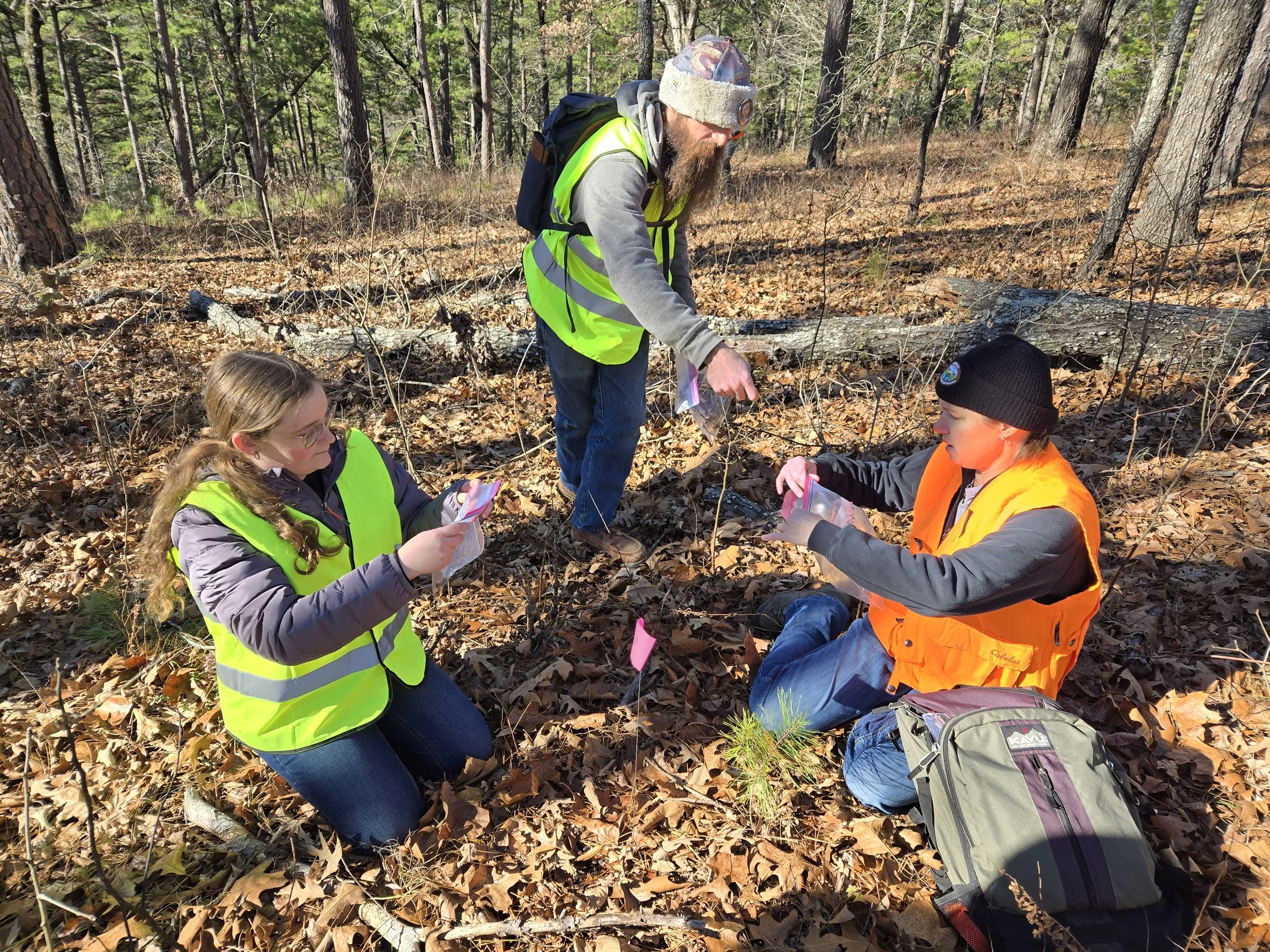 Evaluating Prescribed Fire for Mitigating Environmental Transmission of Chronic Wasting Disease
