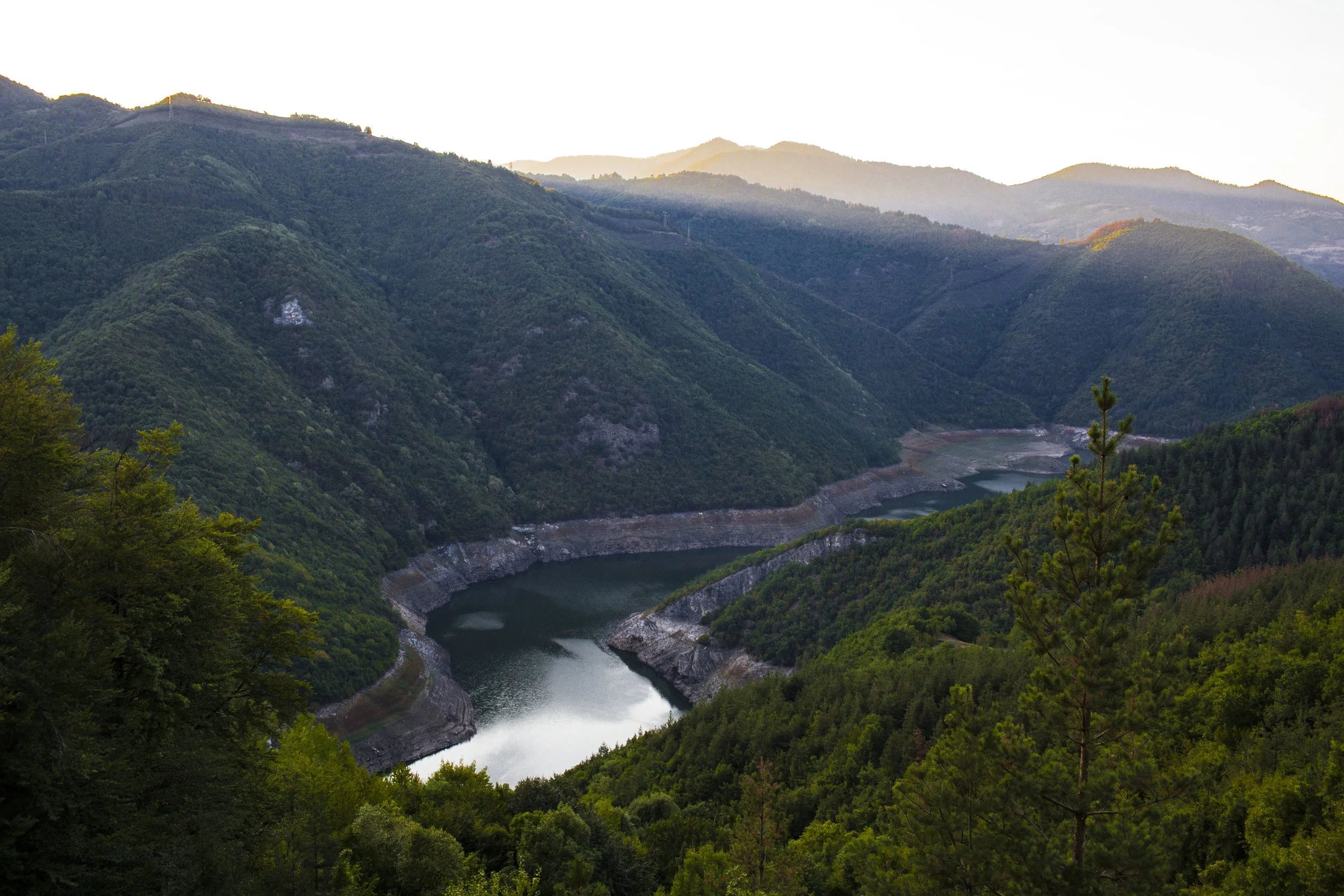 _MG_9221 copy.jpg