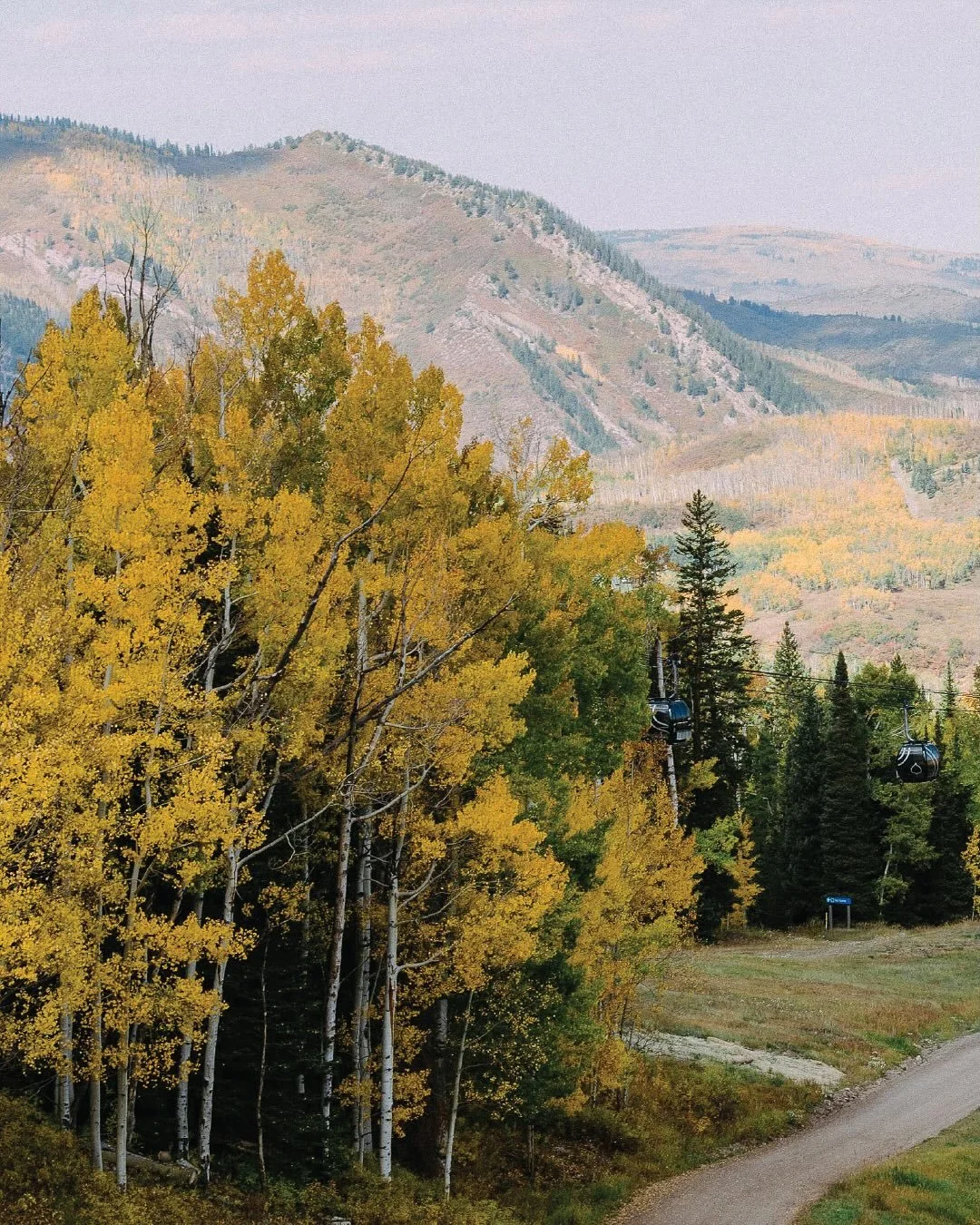 The leaves are turning here in Aspen 🍂 You know what that means&hellip; The Golden Leaf is just around the corner. See you on the start line Saturday September 27th 👟