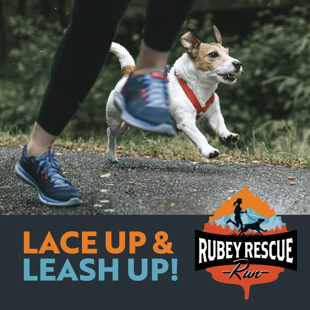 Check out this fun event happening at Buttermilk Ski Area on October 11th!

The Rubey Rescue Run is a dog friendly 5k for a great cause. Bring your furry friends and run to support the Aspen Animal Shelter.

Find more details on our events calendar!