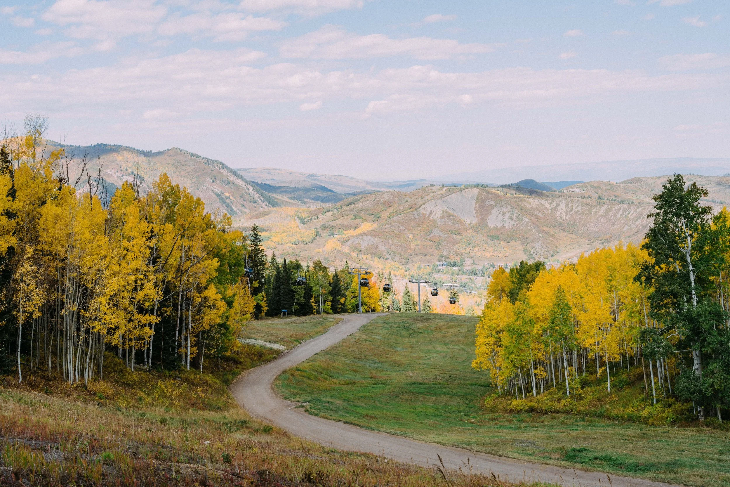 Golden Leaf Half Marathon