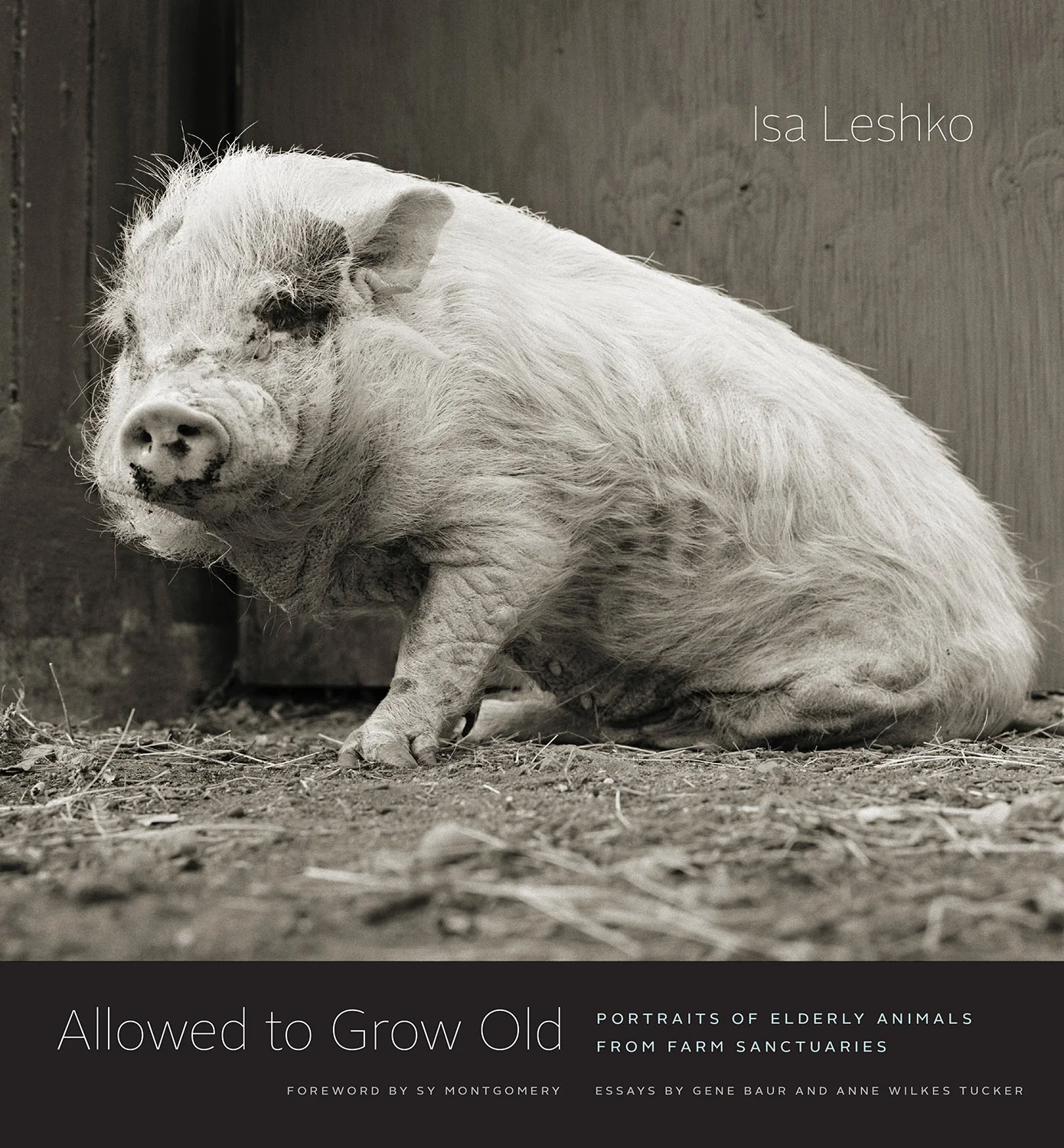 Allowed to Grow Old Book Cover