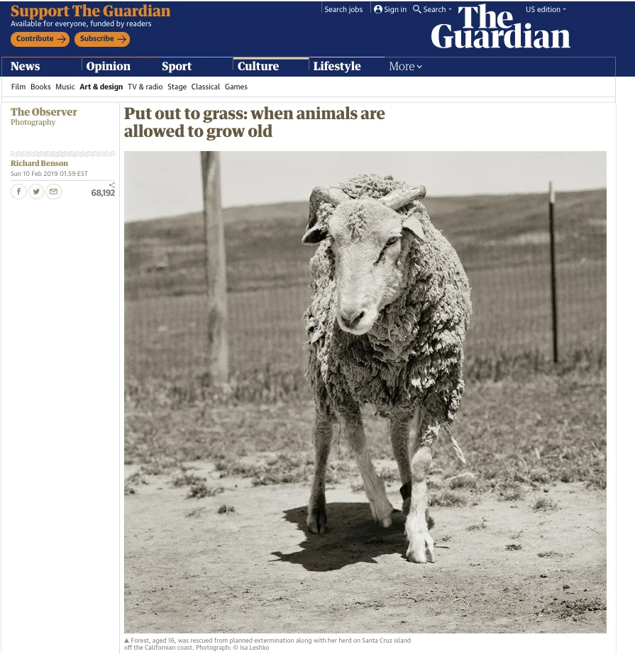 Allowed to Grow Old Featured In The Observer