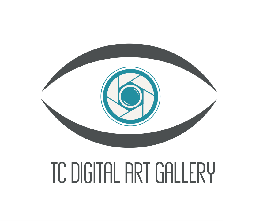 Screen Shot 2017-11-27 at 7.45.31 PM.png