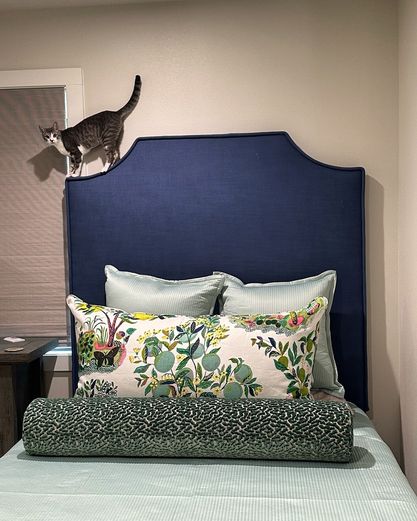 I really want to reach in this picture and straighten those Euro Shams. But you&rsquo;re looking at the #cat anyway, right?😜 Since Tay Tay debuted on the cover of #TIME with her precious kitty. We figured it was the perfect time to share this amazin