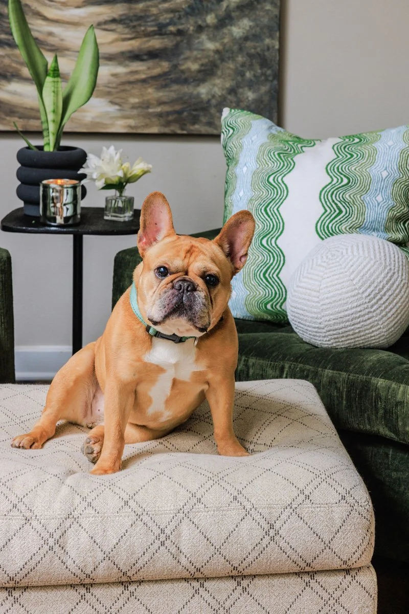 O'Dea Studios Interior Design Little Rock Arkansas NCIDQ ASID - Sorrells Road31.jpg