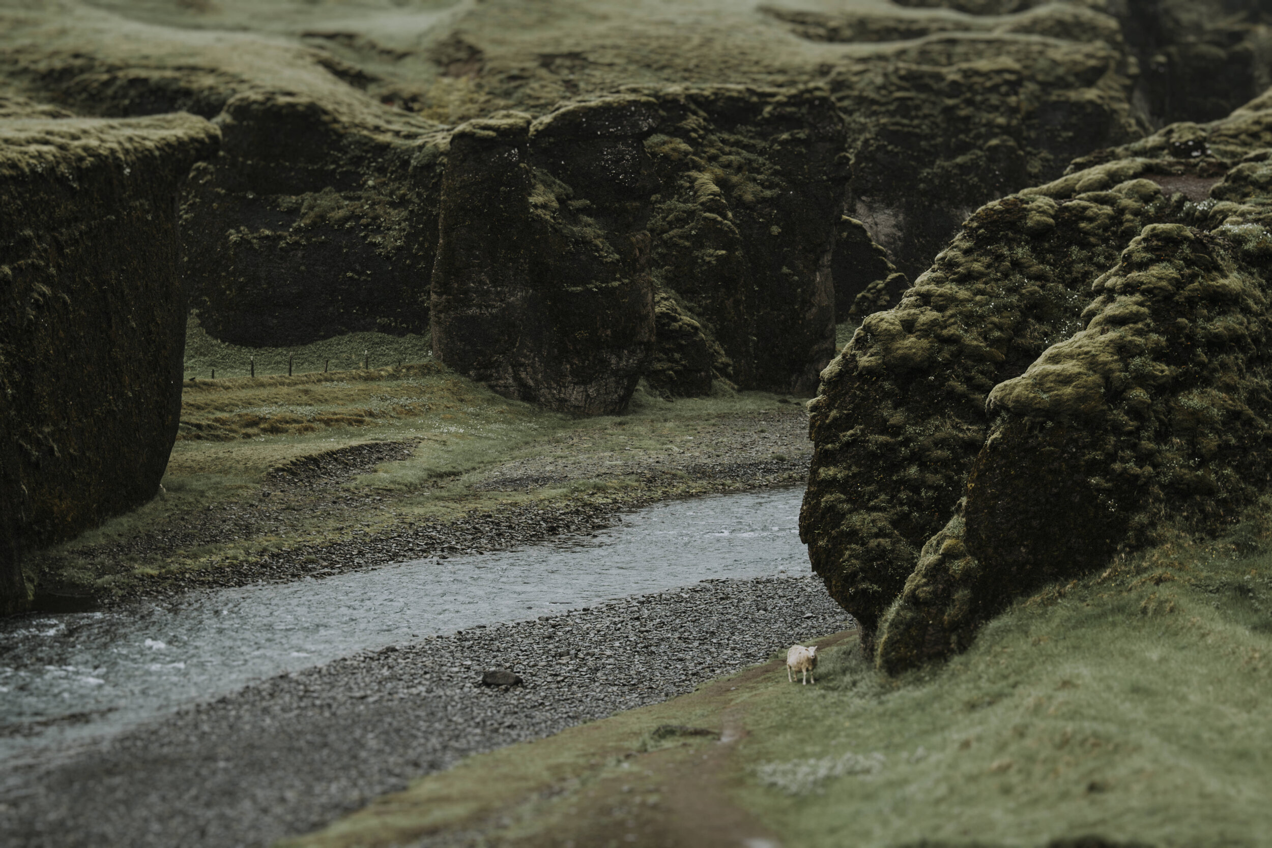 Iceland 58.jpg
