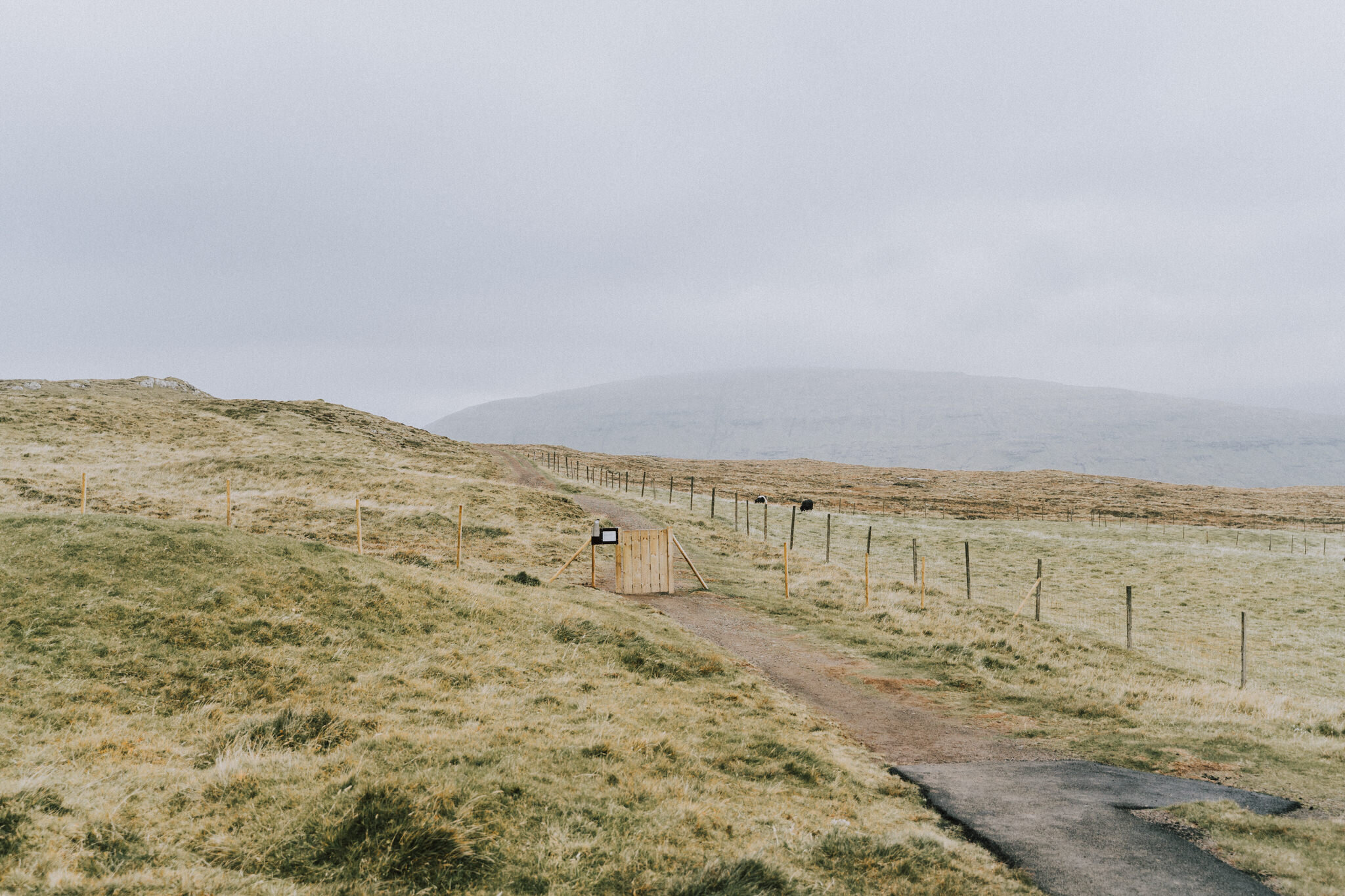 Tu Nguyen Wedding Faroe Islands Elopement-59.jpg