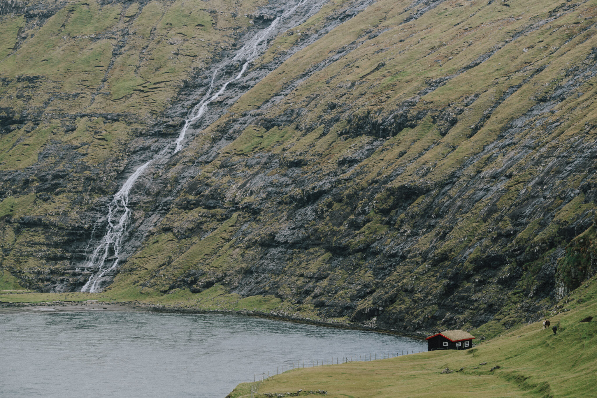 Tu Nguyen Wedding Faroe Islands Elopement-71.jpg