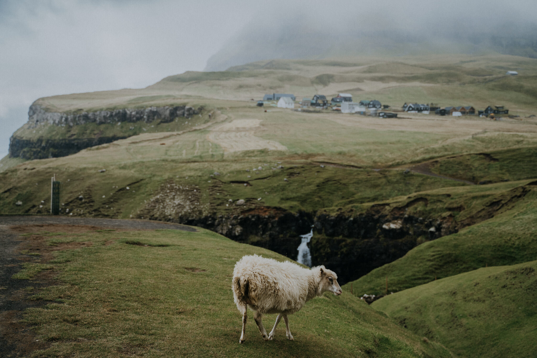 Tu-Nguyen-Destination-Wedding-Photographer-Faroe-Islands-Elopement-Fiona-Alexia-199.jpg