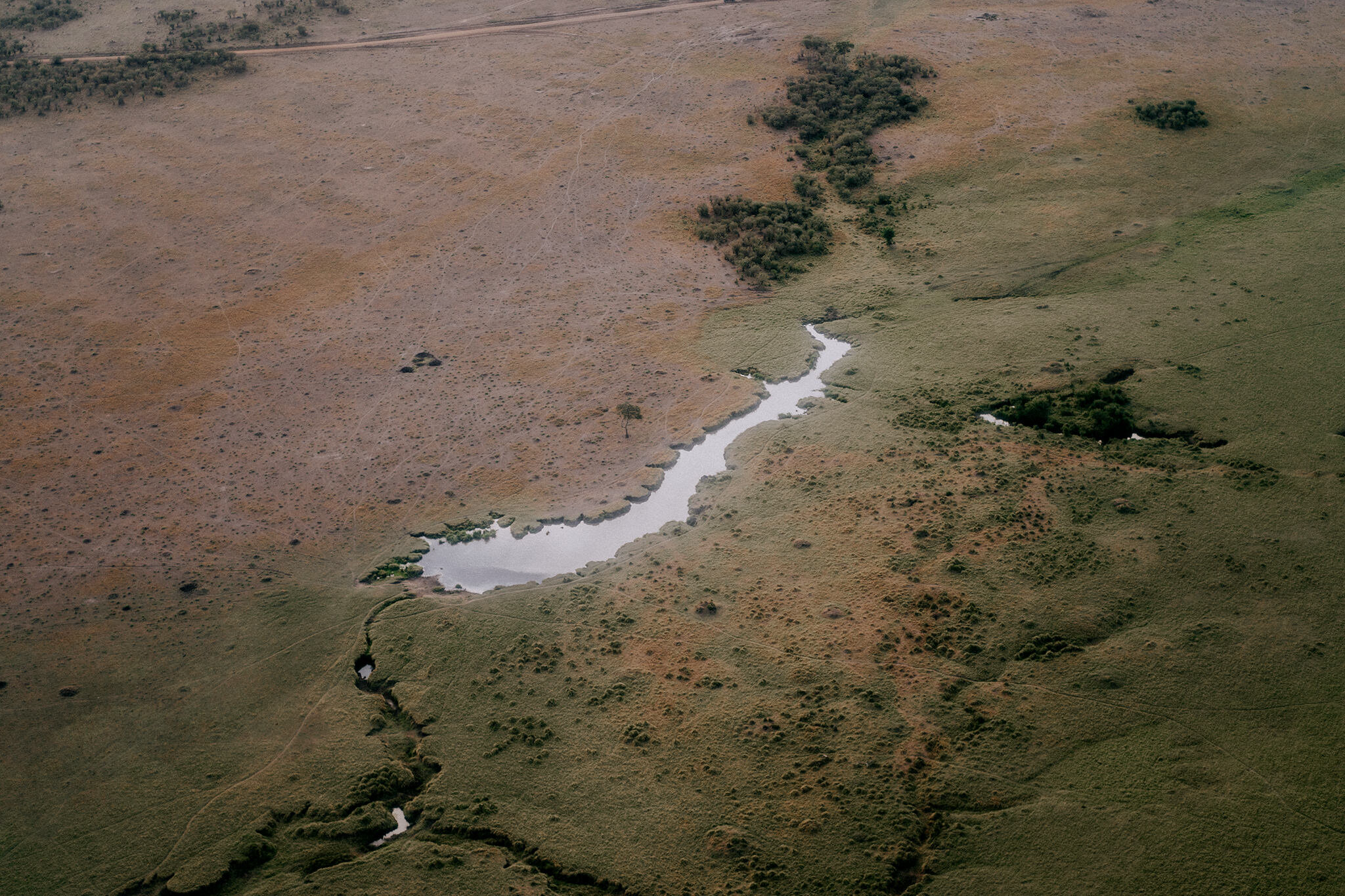 1 Tu Nguyen Masai Mara Kenya 16.jpg