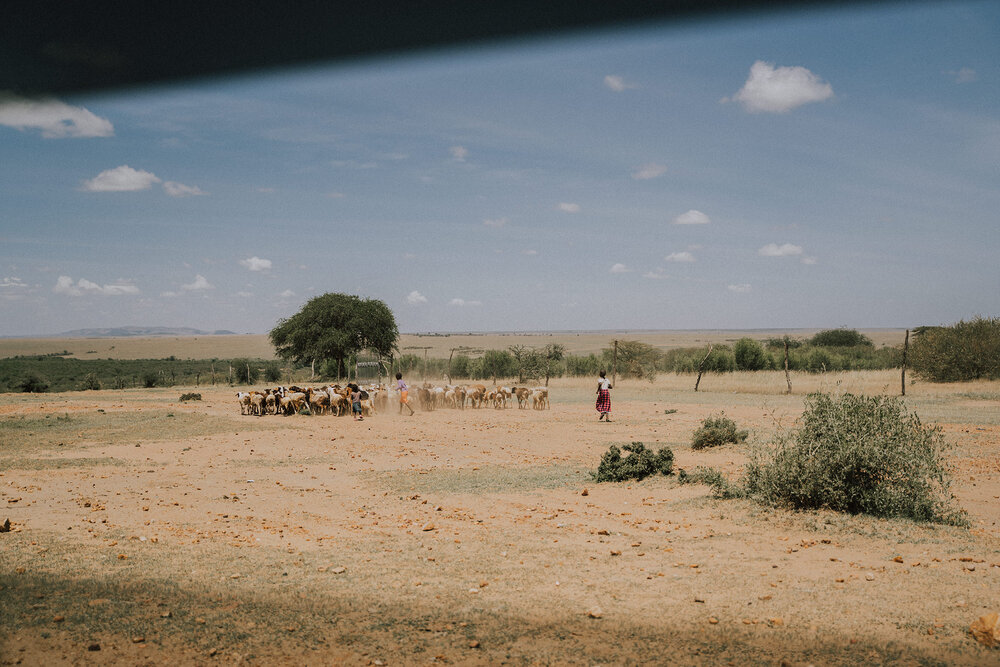 1 Tu Nguyen Masai Mara Kenya 42.jpg