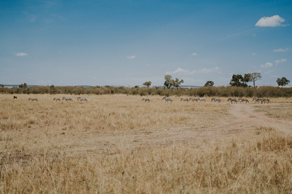 1 Tu Nguyen Masai Mara Kenya 47.jpg