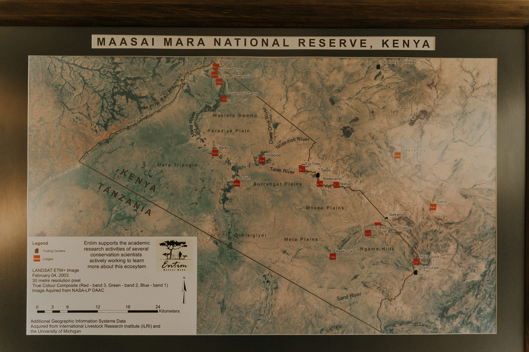 1 Tu Nguyen Masai Mara Kenya 50.jpg